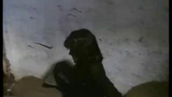 Uma garota está com um cara melhores pornos amadores em um beco, sendo fodida profundamente